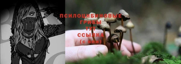 ALPHA PVP Аркадак