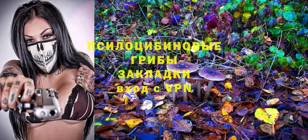 кокс Алексеевка