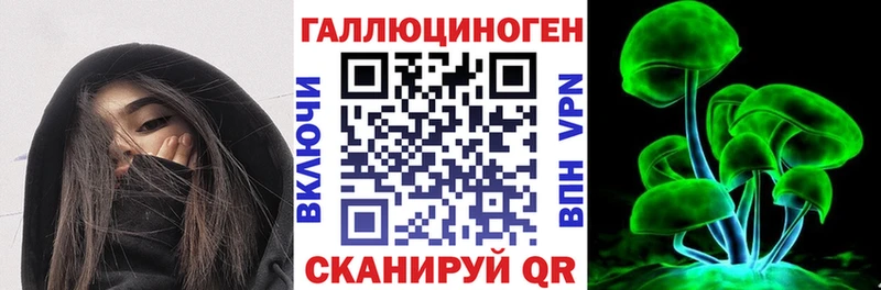 Галлюциногенные грибы Psilocybine cubensis  blacksprut   Печоры 